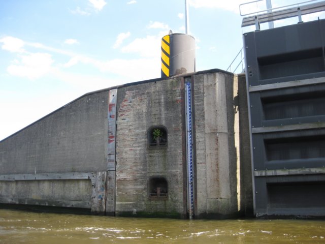 sail2009087.jpg