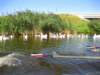 sail2009110_small.jpg
