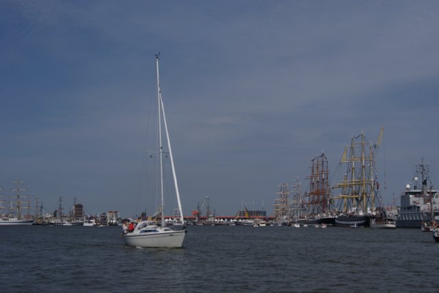 dsc02016.jpg