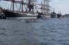 dsc02036_small.jpg