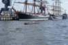 dsc02037_small.jpg