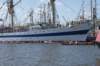 dsc02059_small.jpg