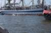 dsc02060_small.jpg