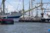 dsc02063_small.jpg