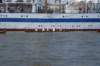 dsc02070_small.jpg