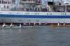 dsc02073_small.jpg