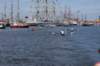 dsc02090_small.jpg