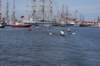 dsc02091_small.jpg
