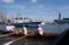dsc02115_small.jpg