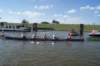 dsc02142_small.jpg