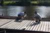dsc02224_small.jpg