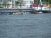 sail_tb034_small.jpg