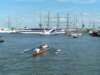 sail_tb107_small.jpg