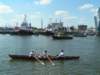 sail_tb111_small.jpg