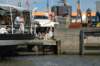 dsc_3561_small.jpg