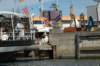 dsc_3562_small.jpg