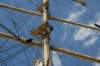 dsc_3586_small.jpg