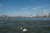 dsc_3602_small.jpg
