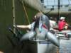 dscf2430_small.jpg